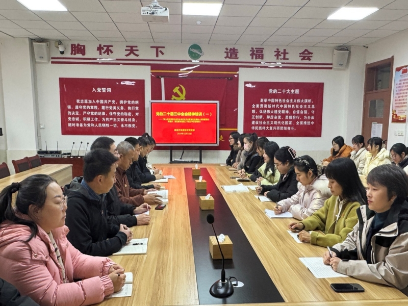 龙源学校党支部 组织开展学习贯彻党的二十届三中全会 ...